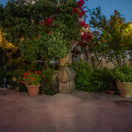 Ananta Blue * Argassi